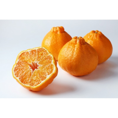 Мандарины понкан крупноплодные оптом