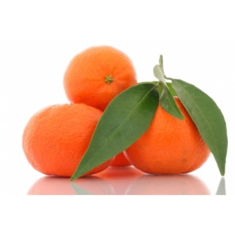 Мандарины Клементины Марокканские