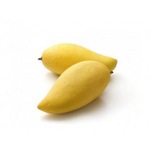 Манго Тайланд золотой оптом