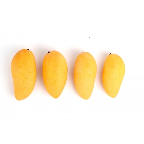 Манго Вьетнам желтое оптом