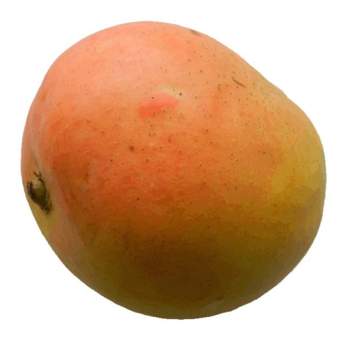 Манго r2e2 оптом