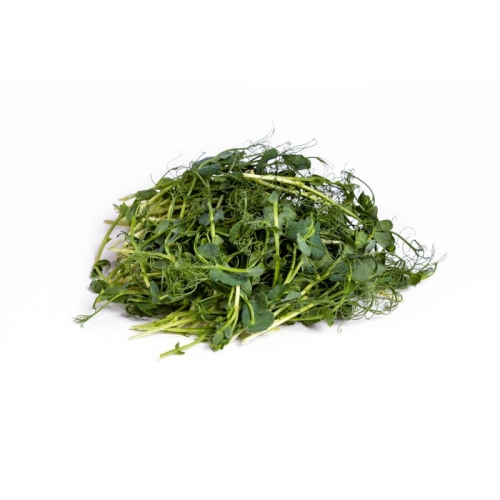 Микрозелень горох оптом