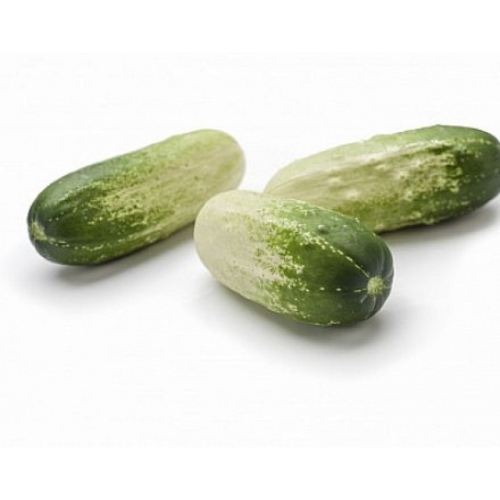 Мини Огурцы бело-зеленые оптом