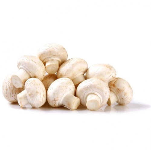 Мини шампиньоны оптом