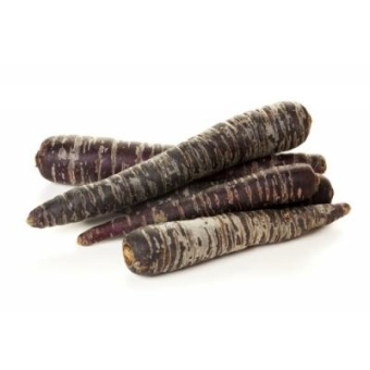 Морковь фиолетовая