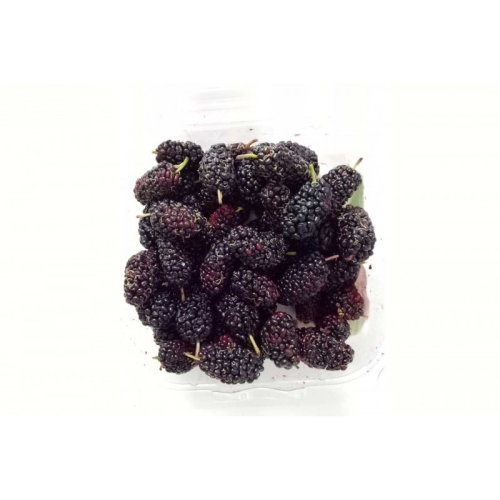 Шелковица черная оптом