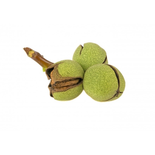 Грецкий орех зеленый оптом