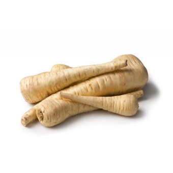 Корень пастернака