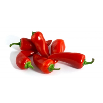 Перец табаско красный