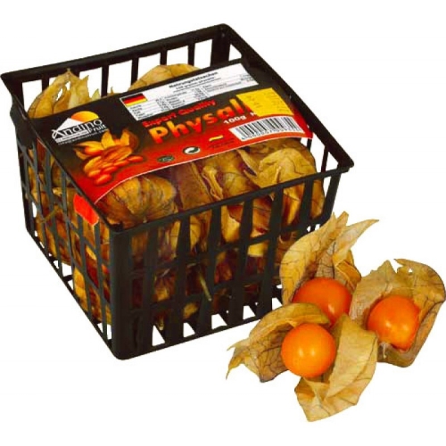 Физалис свежий оптом