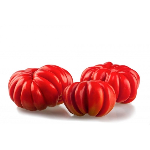 Помидоры ромашка оптом