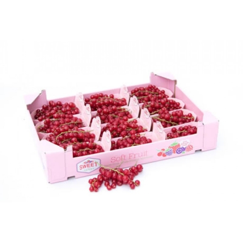 Красная смородина оптом