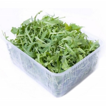 Руккола мини в пачках