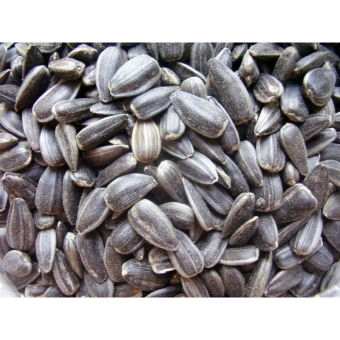 Семечки подсолнуха черные не очищенные