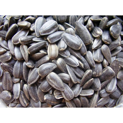 Семечки подсолнуха черные не очищенные оптом