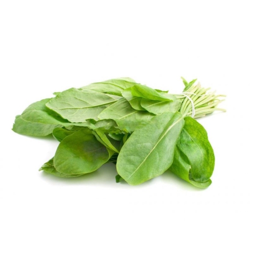 Щавель свежий оптом