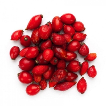 Шиповник свежий