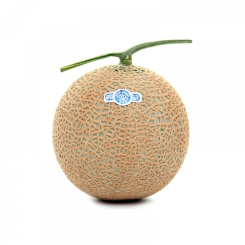 Дыня сорт Япония оптом