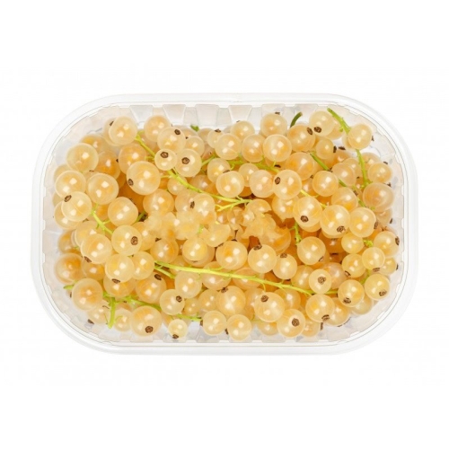 Смородина белая оптом