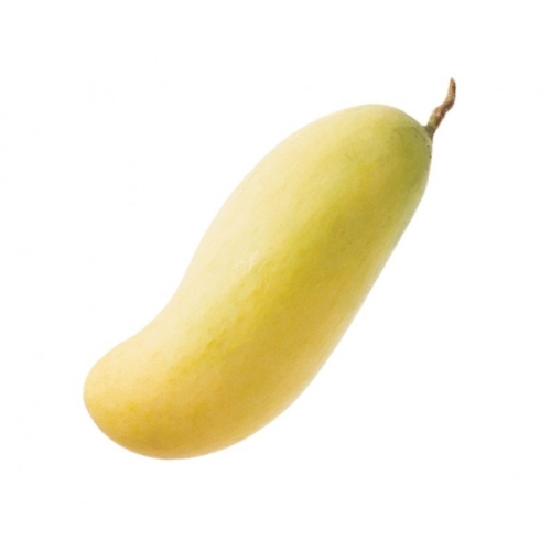 Манго бивень слона оптом