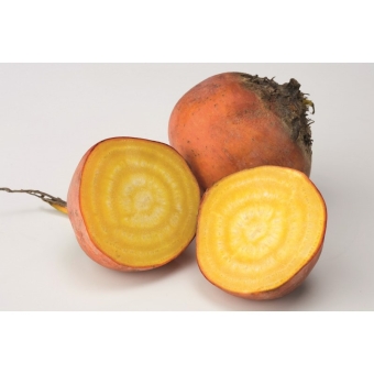 Свекла оранжевая