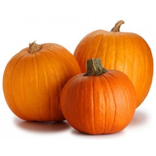 Тыква Хэллоуин оптом