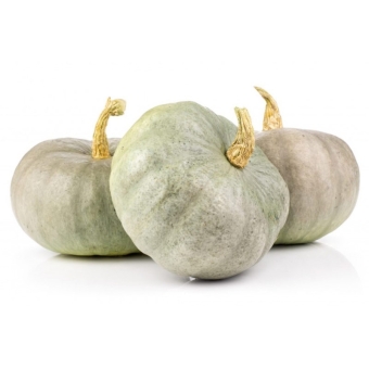 тыква самсон