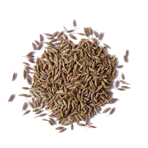 Тмин коричневый семена оптом
