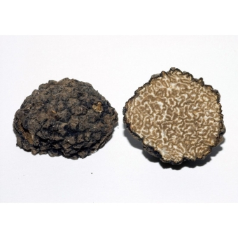 Трюфель черный летний Истивум Tuber Aestivum