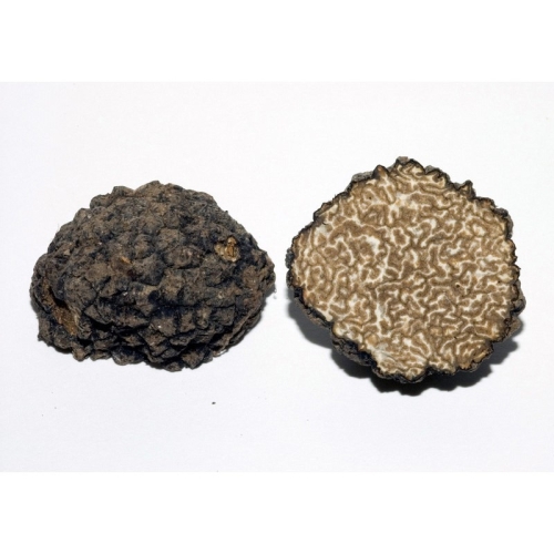 Трюфель черный летний Истивум Tuber Aestivum оптом