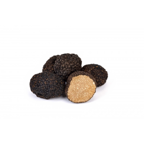 Трюфель Бургундский (унчинатум) оптом