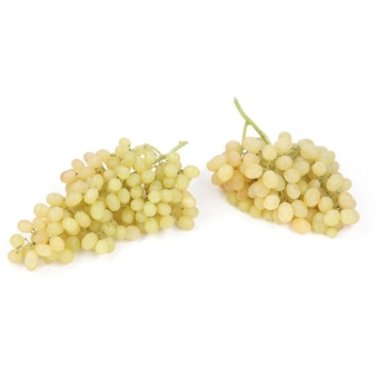 Виноград белый кишмиш Армения