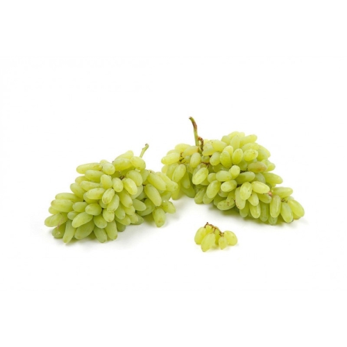 Виноград дамские пальчики оптом