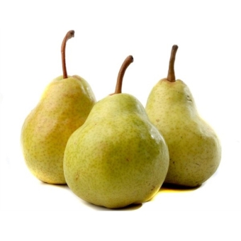 Груша вильямс