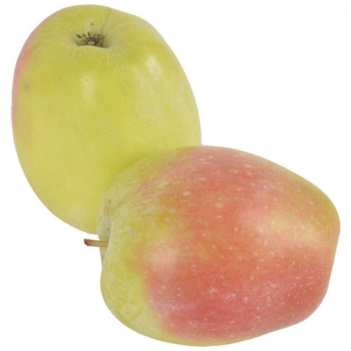 Яблоки Синап оптом