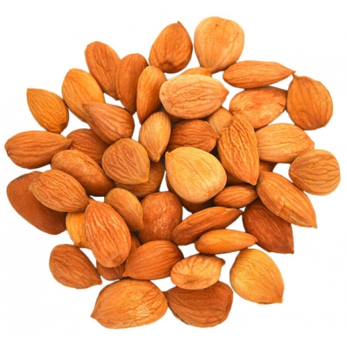 Ядра абрикосовых косточек оптом