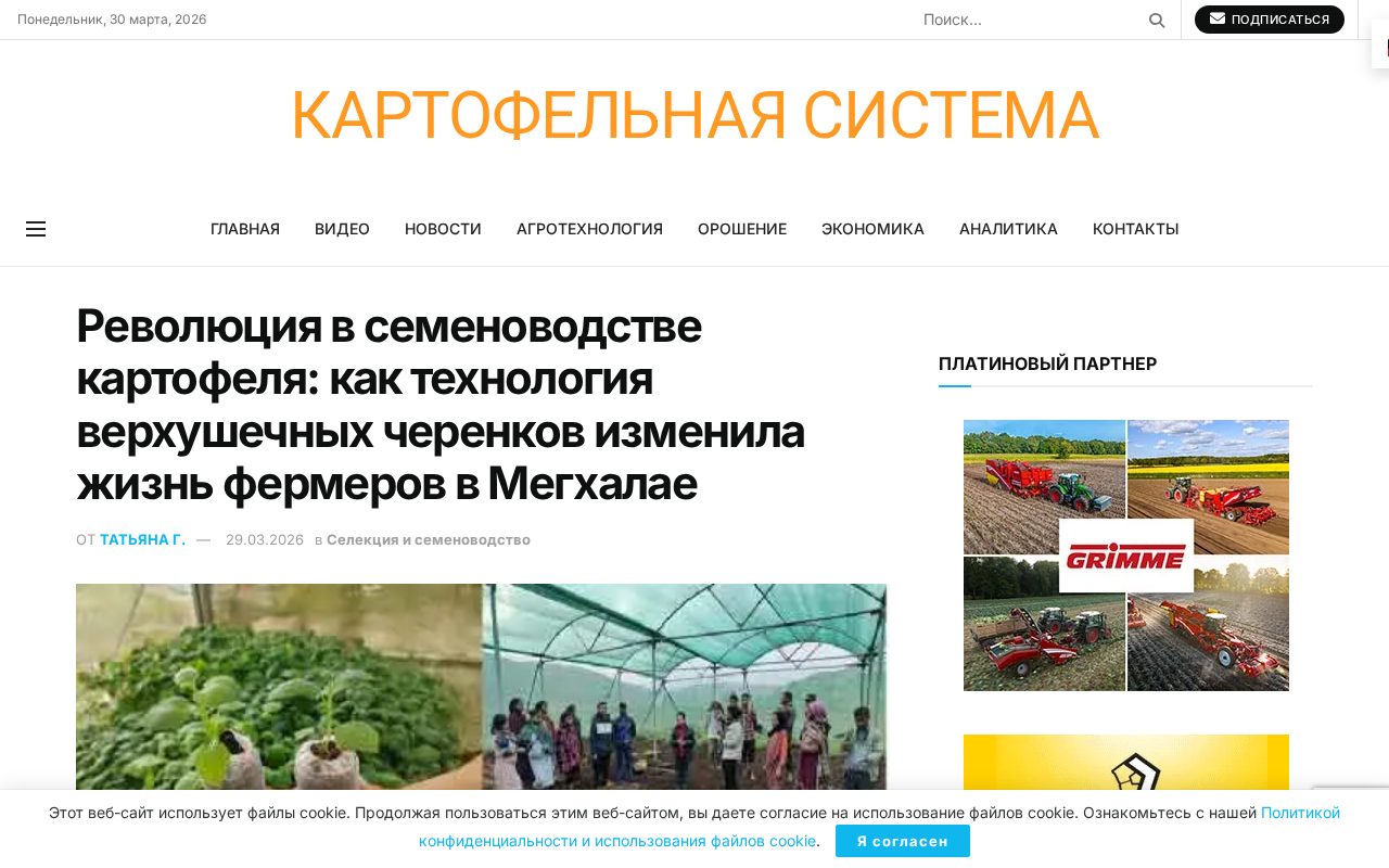 график роста выживаемости черенков и прироста миниклубней в Мегхалае