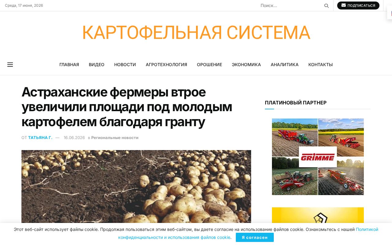 Фермерское поле молодого картофеля в Харабалинском районе Астраханской области, вид с дрона, зелёные всходы картофеля, трактор вдали