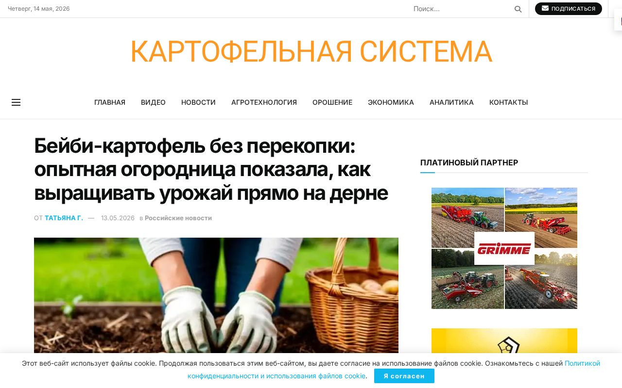 посадка картофеля на газоне под слоем листьев и травы без перекопки
