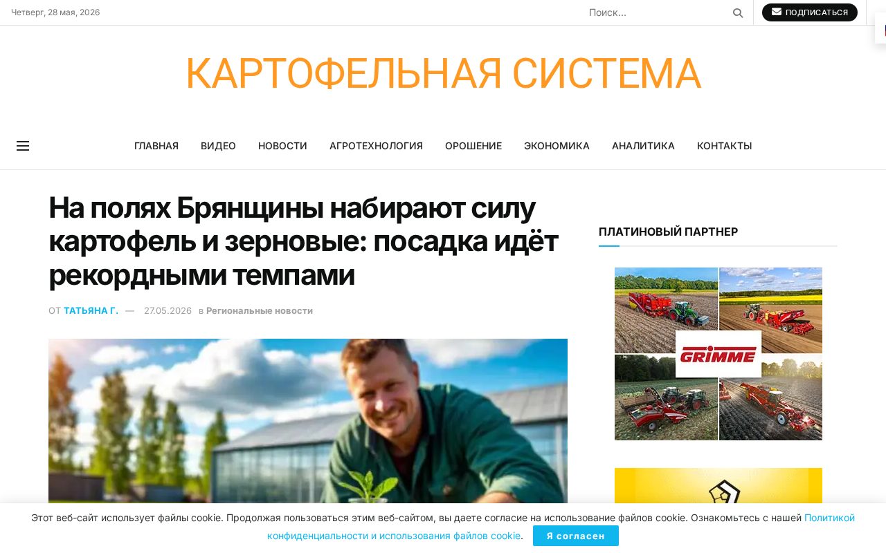 посадка картофеля в Брянской области, работа техники на больших полях