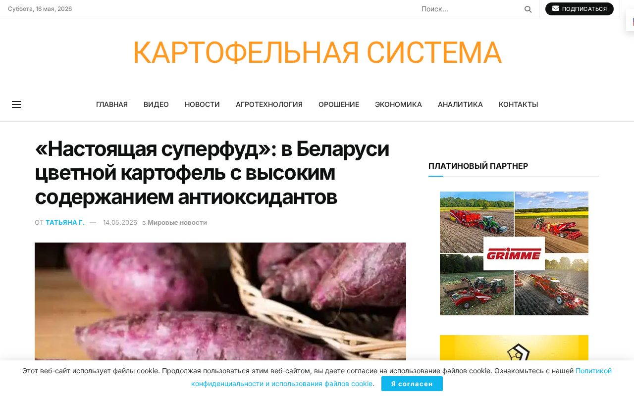 новость о белорусском цветном картофеле с красными, синими и фиолетовыми клубнями