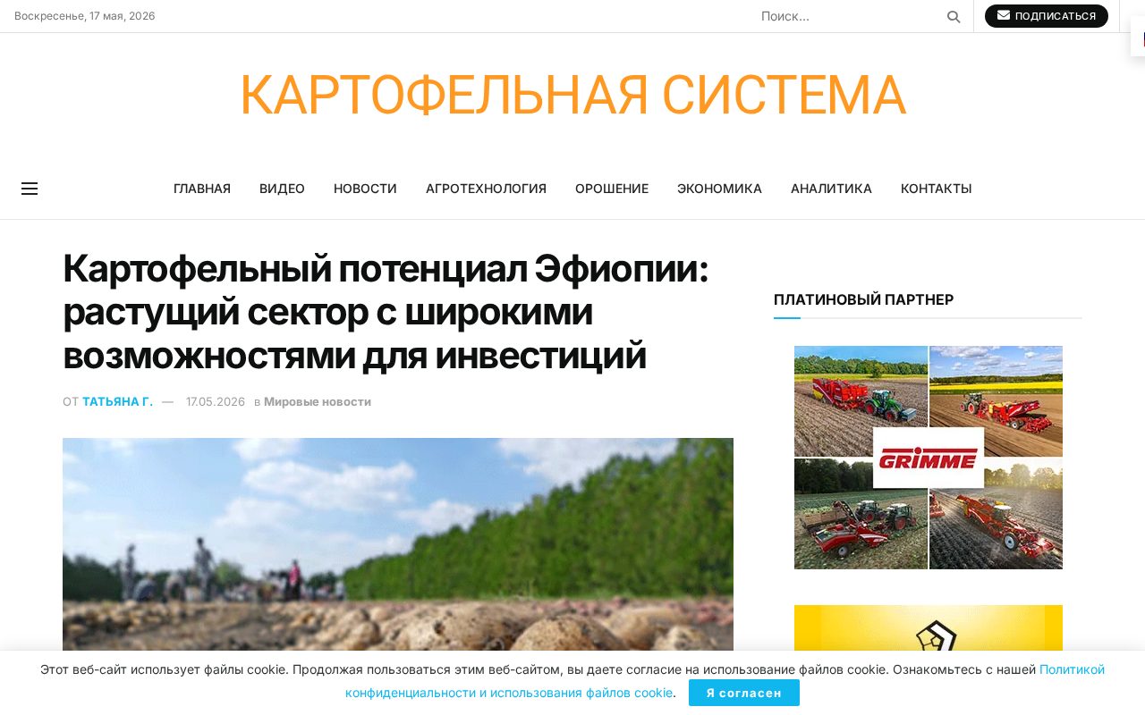 статья о росте картофельного сектора Эфиопии, цифры производства и планы инвестиций до 2030 года