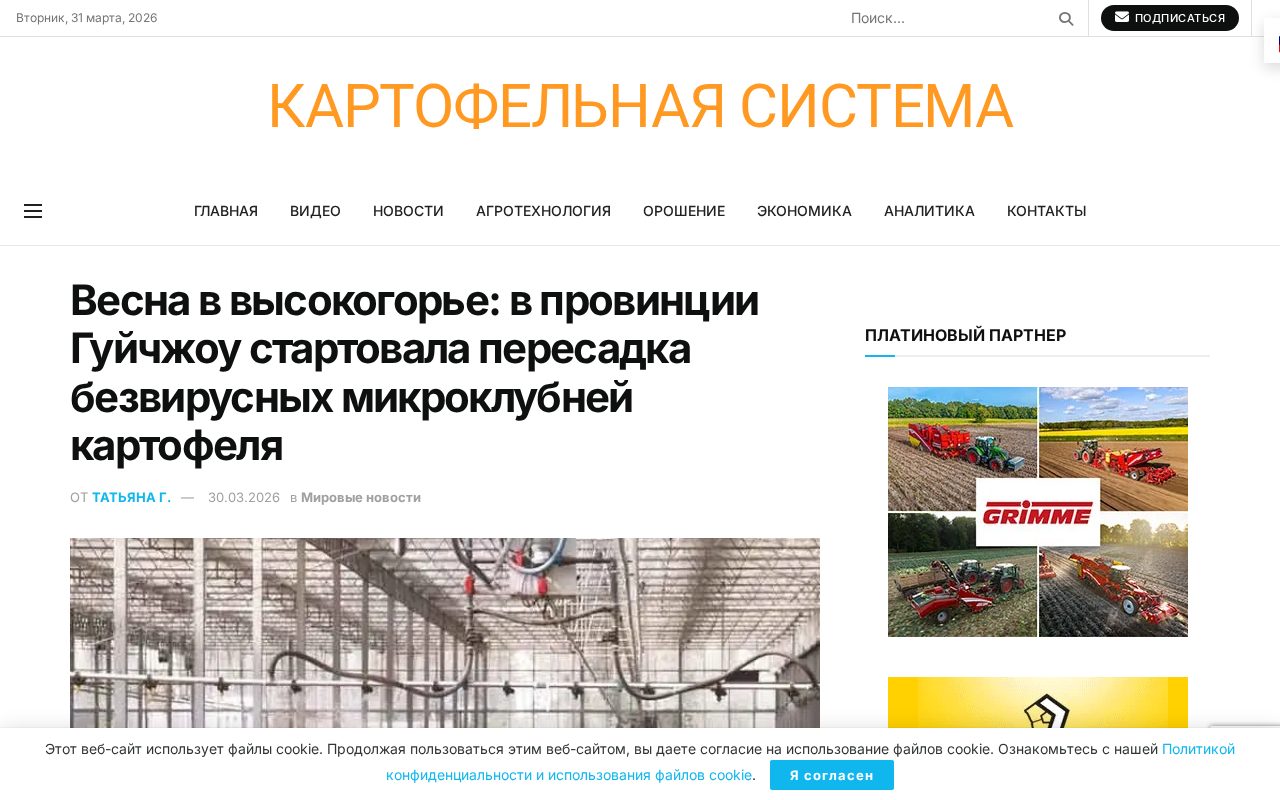 демонстрационный кадр базы Zhongnongfa Zhongshu, где рабочие пересаживают безвирусные микроклубни в высокогорных полях