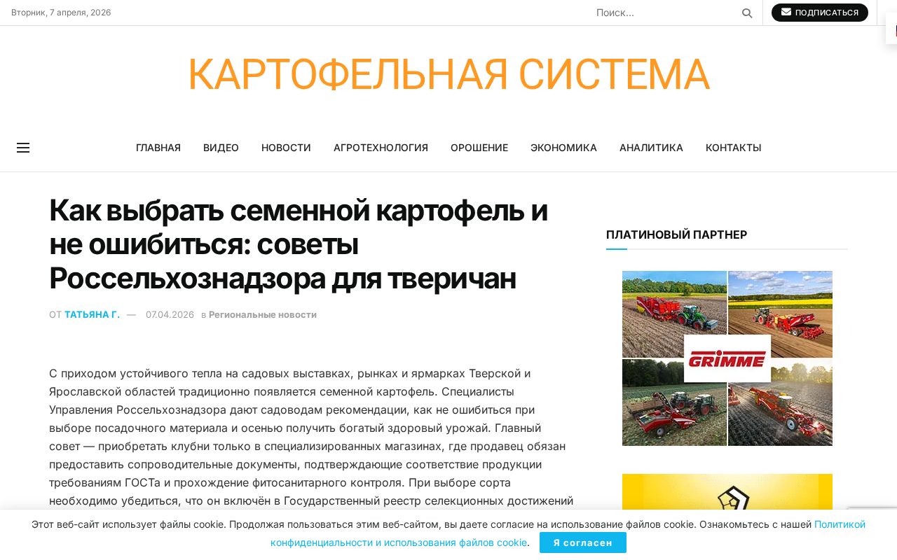 овощной рынок с семенным картофелем в таре и маркировкой партии на упаковке