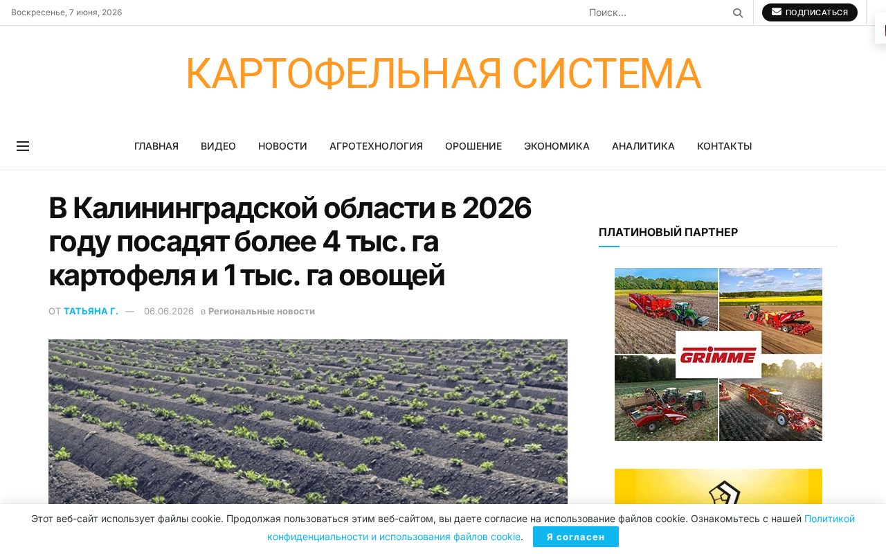 страница Potatosystem с новостью о посевной картофеля и овощей в Калининградской области