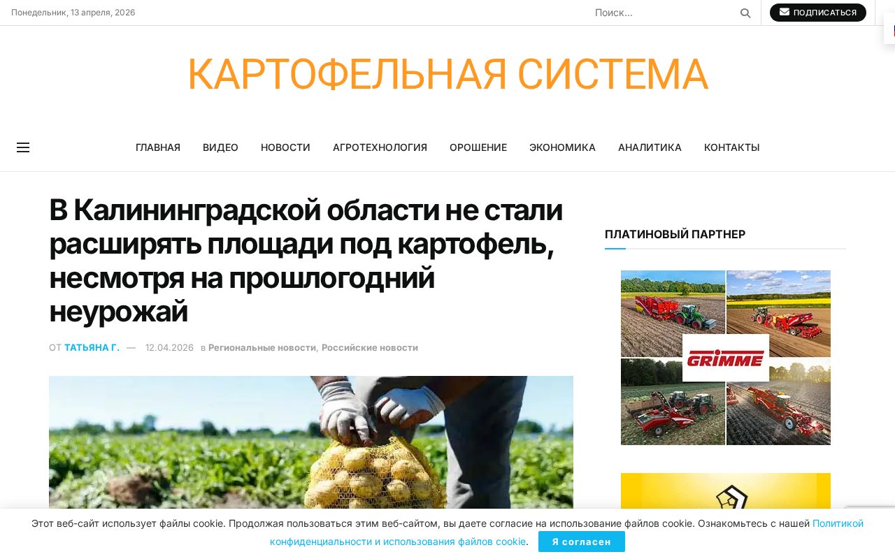 новость potatosystem.ru о том, что в Калининградской области не расширяют площади под картофель после неурожая