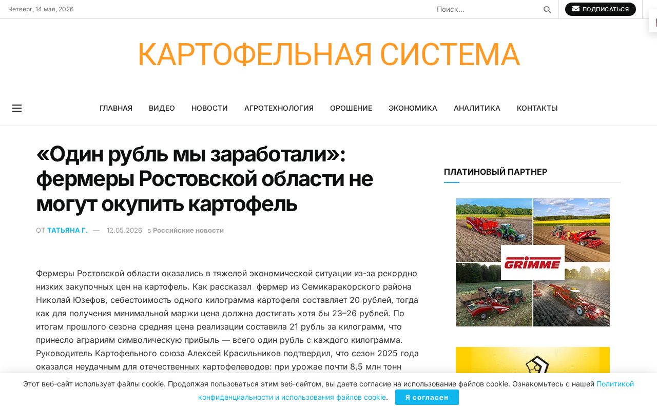 фермерское поле картофеля в Ростовской области и ящики с урожаем на отгрузке