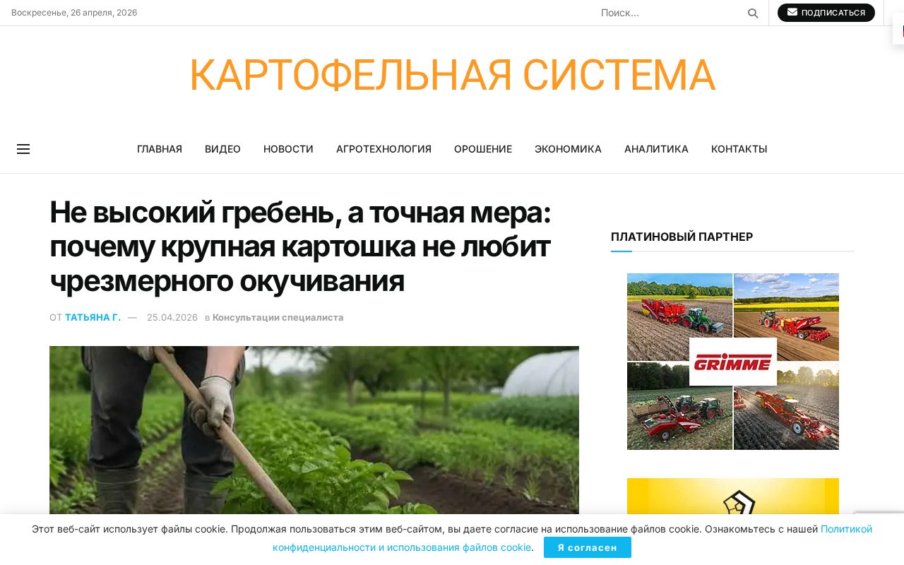 заголовок материала о том, что картофель не любит чрезмерно высокого окучивания