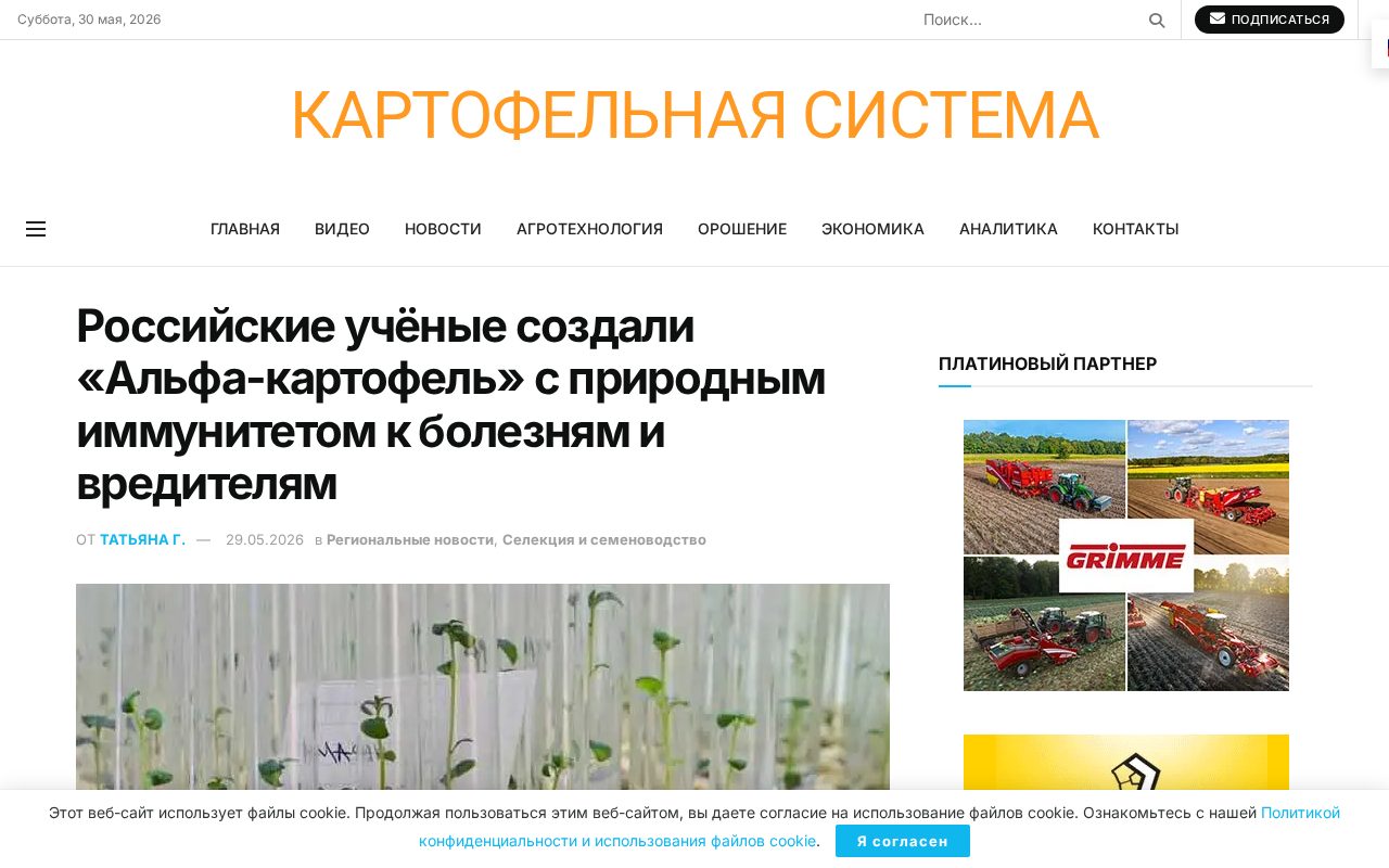 новость о новом сорте картофеля «Альфа» с природным иммунитетом к болезням и вредителям