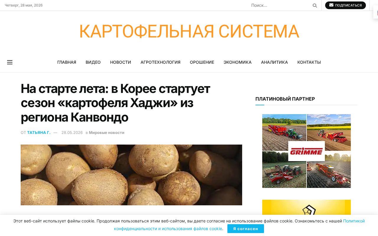 заголовок новости о старте сезона картофеля Хаджи в Корее и фото свежего урожая из Канвондо